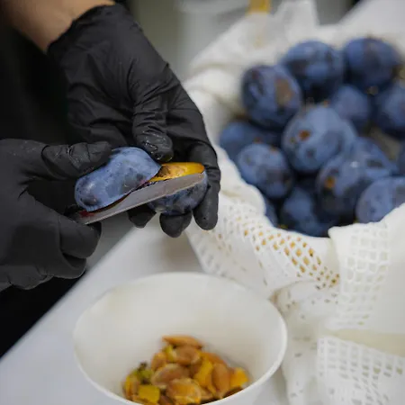 Gartenhotel Maria Theresia Otel 4*