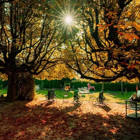 Gartenhotel Maria Theresia Otel Hall in Tirol