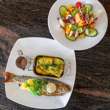 ホテル ガルテンホテル マリア テレジア ハル・イン・チロル